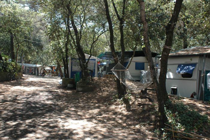 Campsite Continental Marina di Castagneto Carducci