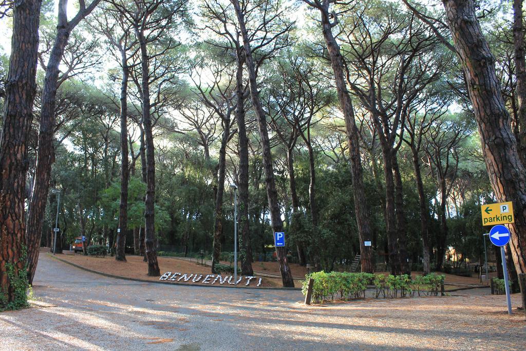 Campsite Continental *