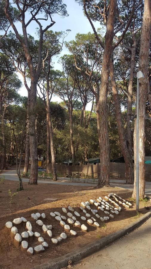 Campsite Continental *